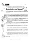 Vista preliminar de documento RDR 11390-2024