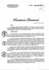 Vista preliminar de documento 036-2020-DG-DIRIS-LC
