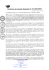 Vista preliminar de documento RGM107-2024
