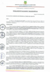 Vista preliminar de documento RESOLUCION DE ALCALDIA Nº 005-2025-MPPA-A