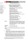 Vista preliminar de documento Informe_00050_2025_SENACE_PE_DEIN_UT