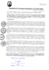 Vista preliminar de documento RGM113-2024