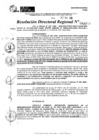 Vista preliminar de documento RDR 11399-2024