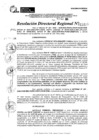 Vista preliminar de documento RDR 11403-2024