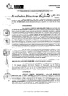 Vista preliminar de documento RDR 11404-2024