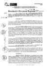 Vista preliminar de documento RDR 11410-2024
