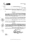 Vista preliminar de documento RDR 11411-2024