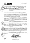 Vista preliminar de documento RDR 11412-2024