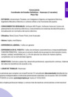 Vista preliminar de documento Convocatoria Coordinador de Estudios Definitivos