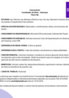 Vista preliminar de documento Convocatoria Coordinador de Obras
