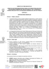 Vista preliminar de documento Directiva0005_2025EF5301