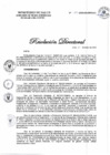 Vista preliminar de documento 055-2020-DG-DIRIS-LC