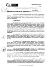 Vista preliminar de documento RDR 11414-2024