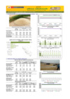 Vista preliminar de documento Boletín de abastecimiento y precio del ARROZ - 07/02/2025