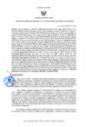 Vista preliminar de documento RESOLUCION GERENCIAL REGIONAL n 217-2025