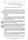 Vista preliminar de documento RESOLUCION DE GERENCIA MUNICIPAL N° 005-2025-GM-MDSR