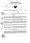 Vista preliminar de documento RDR 11424-2024
