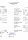 Vista preliminar de documento Estados Financieros - Noviembre 2024