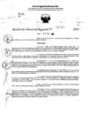 Vista preliminar de documento RDR 11425-2024