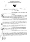Vista preliminar de documento RDR 11427-2024
