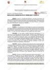 Vista preliminar de documento 85