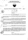 Vista preliminar de documento RDR 11429-2024