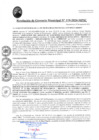 Vista preliminar de documento RGM119-2024