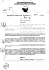 Vista preliminar de documento RDR 11430-2024
