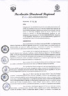 Vista preliminar de documento RDR N°072-2025-GRSM-DIREPRO001