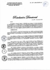 Vista preliminar de documento 110-2020-DG-DIRIS-LC