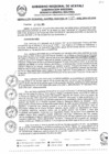 Vista preliminar de documento RGGR0032-2025