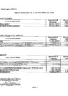 Vista preliminar de documento Saldo de Balance 2023