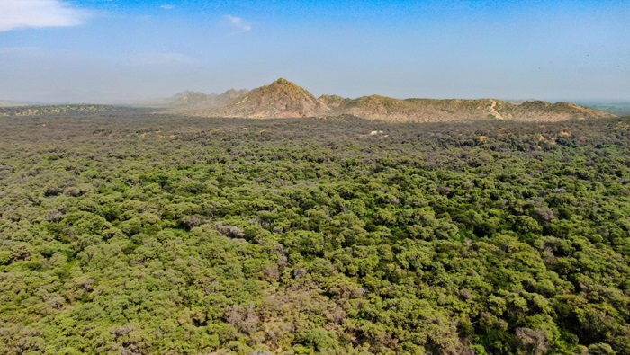 Minam aprueba nueva guía para fortalecer la gestión ambiental en regiones