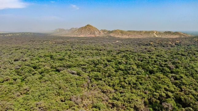 Minam aprueba nueva guía para fortalecer la gestión ambiental en regiones