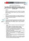 Vista preliminar de documento DIRECTIVA Nro. 001-2025-PROCIENCIA-UA
