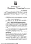 Vista preliminar de documento RD 0008-2025-MINEM-DGE