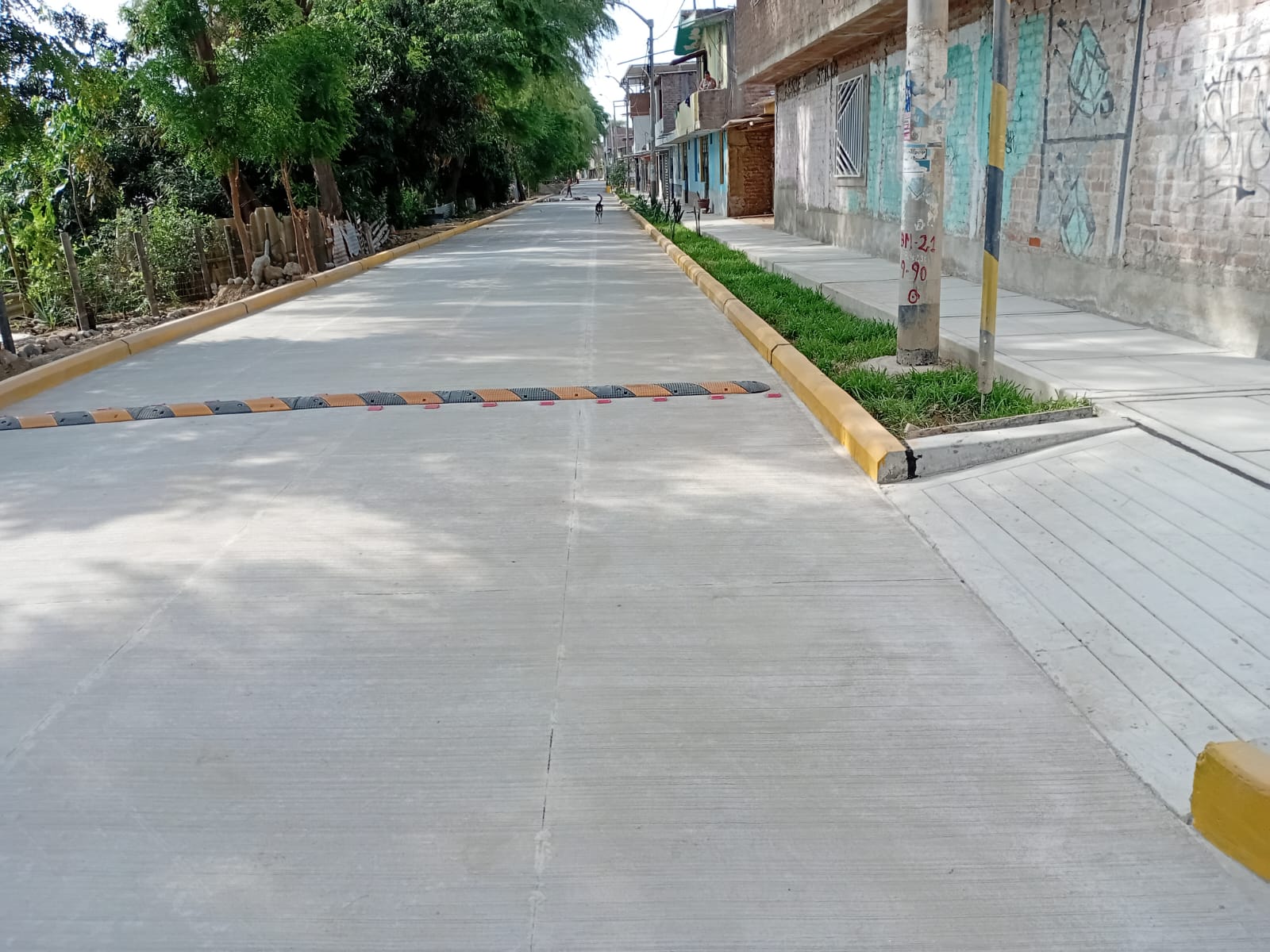Gestión del gobernador Luis Neyra culminó con éxito pistas y veredas de La Primavera, obra esperada desde hace 44 años
