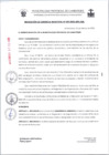 Vista preliminar de documento RG039-2025