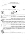 Vista preliminar de documento RDR 11431-2024