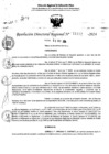 Vista preliminar de documento RDR 11432-2024