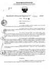 Vista preliminar de documento RDR 11433-2024
