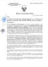 Vista preliminar de documento RD-0655-2025-DSAIA-DIRIS-LE-MINSA