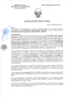 Vista preliminar de documento RD-0663-2025-DSAIA-DIRIS-LE-MINSA