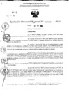 Vista preliminar de documento RDR 11437-2024