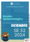 Vista preliminar de documento 12. Boletin epidemiológico diciembre 2024