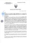 Vista preliminar de documento RD-0667-2025-DSAIA-DIRIS-LE-MINSA