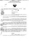 Vista preliminar de documento RDR 11438-2024