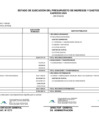 Vista preliminar de documento Saldo de Balance 4to. Trimestre 2024