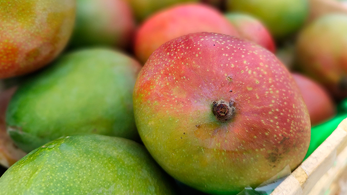 Mango