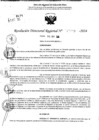 Vista preliminar de documento RDR 11439-2024